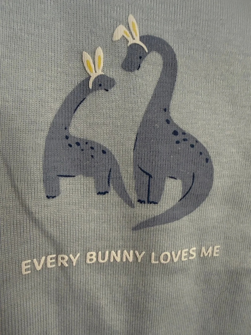 9 Months Carter’s Infant Bodysuit Pants Baby Blue Dinosaur Every Bunny Loves Me